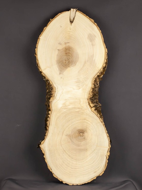 Спил дерева ясень d 23-55 см ТВ-1728