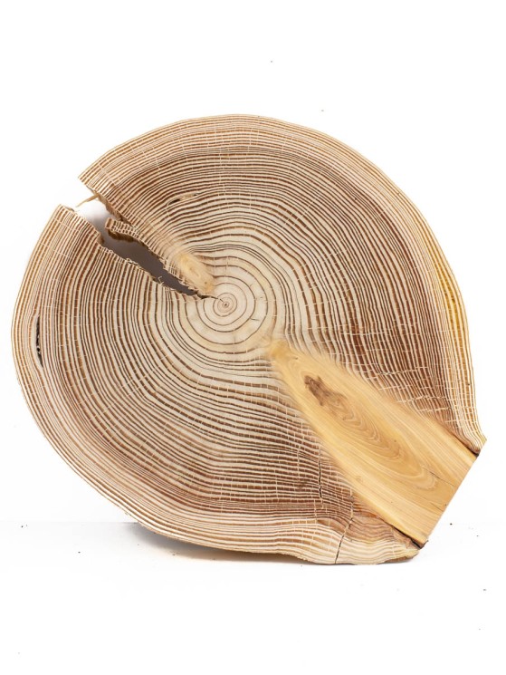 Спил лиственницы d 23-26 см ТВ-735