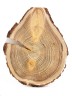 Спил дерева лиственница d 33-27 см, толщина 24-27 мм (1 шт.) ТВ-122