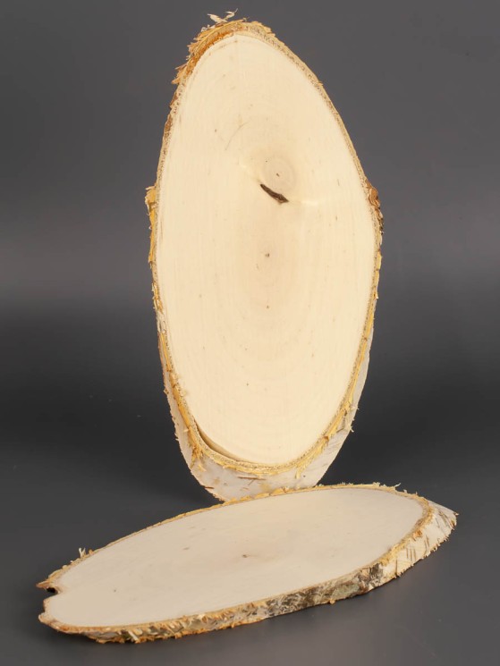 Спил дерева берёза 2 шт. d 8-16 см ТВ-1937