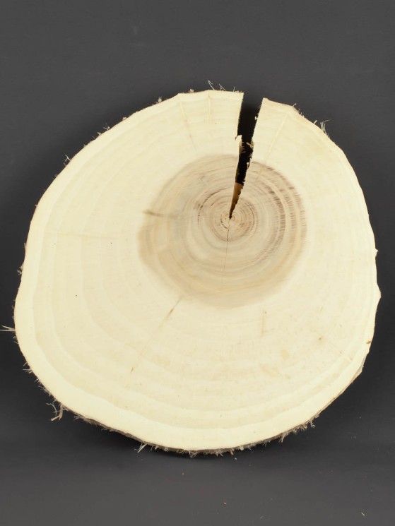 Спил дерева ива d 23-25 см ТВ-1497