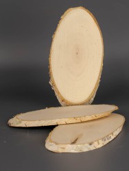 Спил дерева берёза 3 шт. d 7-14 см ТВ-1938