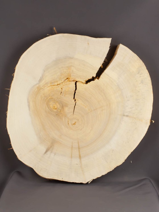 Спил дерева ива d 42-45 см ТВ-1731