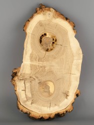 Спил дерева дуб d 17-30 см ТВ-1826