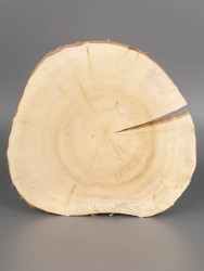 Спил дерева ива d 15-17 см ТВ-1939