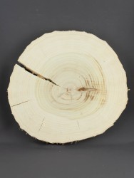 Спил дерева тополь d 23-25 см ТВ-1499