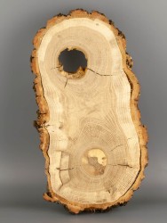 Спил дерева дуб d 17-33 см ТВ-1827