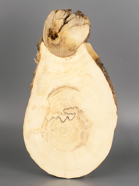 Спил дерева клён d 13-24 см ТВ-1940