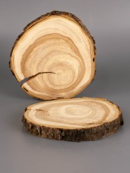 Спил дерева слива d 9-11 см (2 шт) ТВ-1941