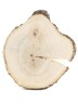 Спил дерева тополь d 25-27 см. ТВ-1033