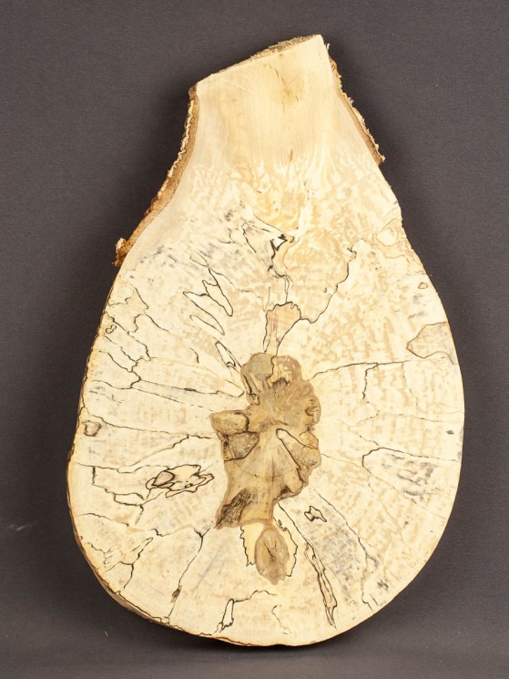 Спил дерева берёза (шпальт) d 21-32 см ТВ-1734