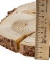 Спил дерева лиственница d 21-29 см, толщина 25-28 мм (1 шт.) ТВ-244