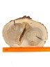 Спил дерева лиственница d 21-29 см, толщина 25-28 мм (1 шт.) ТВ-244