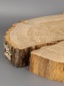 Спил дерева дуб d 25-27 см ТВ-1829
