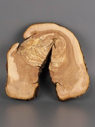 Спил дерева яблоня d 14-16 см ТВ-1942