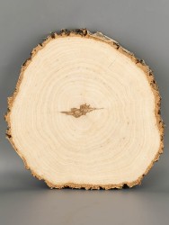 Спил дерева берёза d 21-23 см ТВ-2067