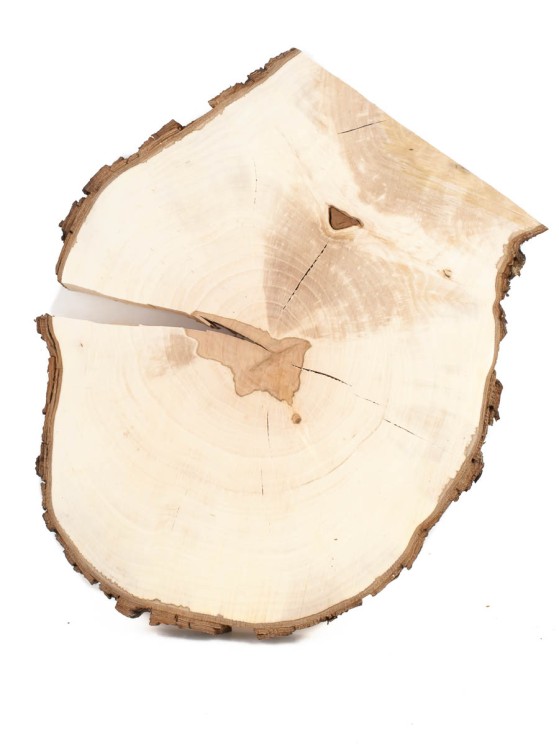 Спил дерева груша d 23-27 см ТВ-1501