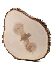 Спил дерева ива d 18-24 см, толщина 19-21 мм ТВ-155