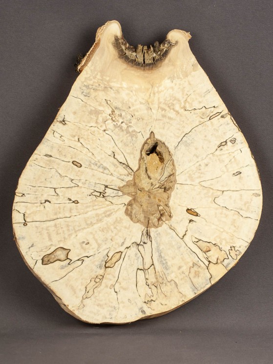 Спил дерева берёза (шпальт) d 23-28 см ТВ-1735