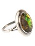 Кольцо из галиотиса "Рондо" кг-077-ГЛ
