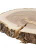 Спил дерева ясень d 28-33 см ТВ-1035