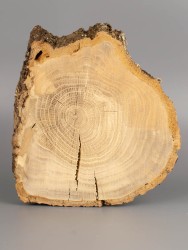 Спил дерева дуб d 16-20 см ТВ-1831