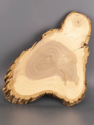 Спил дерева ясень d 21-32 см ТВ-1944