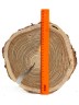 Спил дерева лиственница d 26-27 см, толщина 19-23 мм (1 шт.) ТВ-248