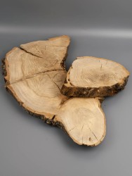 Спил дерева дуб d 34-42 см ТВ-1946