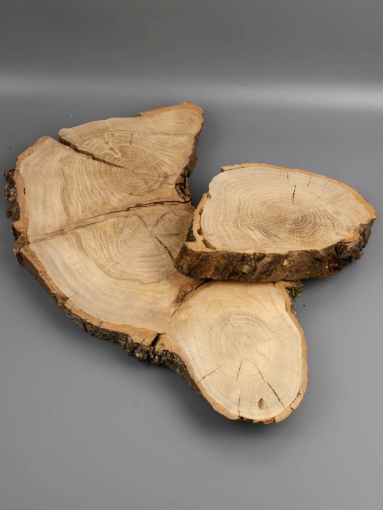 Спил дерева дуб d 34-42 см ТВ-1946