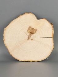 Спил дерева берёза d 18-20 см ТВ-2071