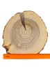 Спил дерева лиственница d 26-27 см, толщина 33-35 мм (1 шт.) ТВ-249