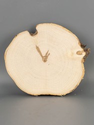 Спил дерева берёза d 18-20 см ТВ-2072