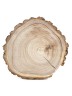 Спил дерева вяз (карагач) d 22-24 см ТВ-1444