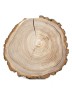 Спил дерева вяз (карагач) d 22-24 см ТВ-1444