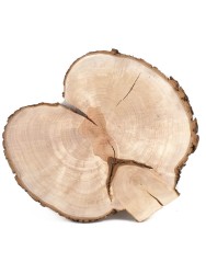 Спил дерева груша d 29-32 см ТВ-1504