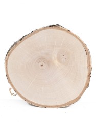 Спил дерева берёза d 14-16 см ТВ-1040
