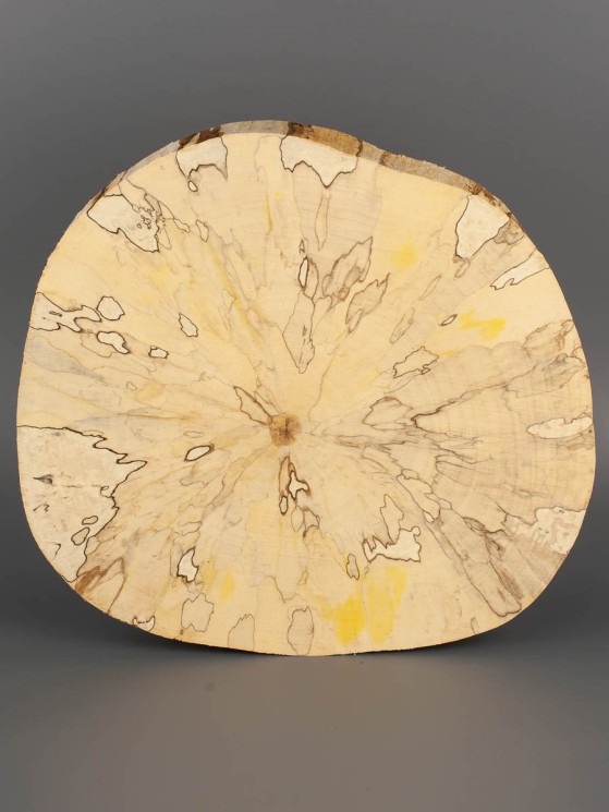 Спил дерева берёза (шпальт) d 21-25 см ТВ-1598