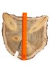 Спил дерева лиственница d 28-30 см, толщина 20-25 мм (1 шт.) ТВ-251