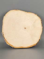 Спил дерева берёза d 17-19 см ТВ-2074