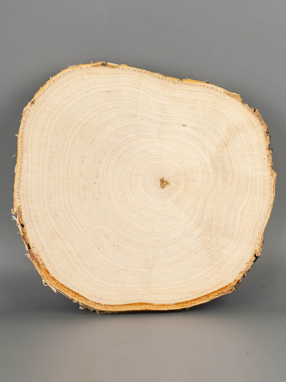 Спил дерева берёза d 17-19 см ТВ-2074