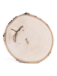 Спил дерева берёза d 14-16 см ТВ-1041