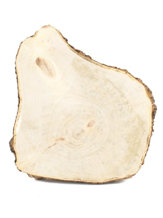 Спил дерева клён d 24-28 см ТВ-1446