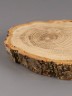 Спил дерева дуб d 10-18 см ТВ-1837