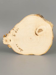 Спил дерева берёза d 14-17 см ТВ-2075