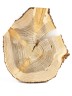 Спил дерева лиственница d 27-35 см, толщина 25-35 мм (1 шт.) ТВ-253
