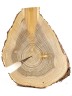 Спил дерева лиственница d 27-35 см, толщина 25-35 мм (1 шт.) ТВ-253