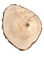 Спил дерева груша d 16-18 см ТВ-1768