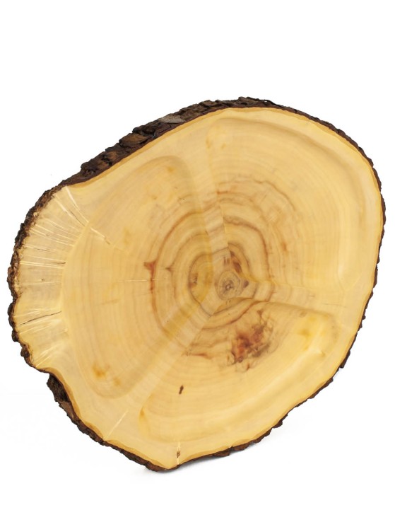 Менажница из дерева клен d 24-29 см, толщина 23-25 мм ПС-049