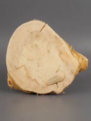 Спил дерева клён d 12-14 см ТВ-1951